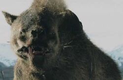 Warg 2