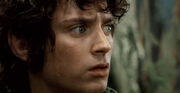 Frodo in Lothlorien