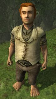 The Lord of the Rings Online - Doderic Brandybuck