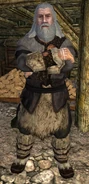 Grimbeorn as depicted in The Lord of the Rings Online