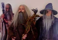 Radagast, gandalf and saruman displays