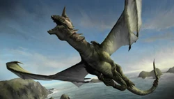 Дрогот в начале игры