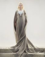 Grey gown