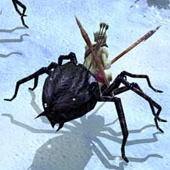 Spider Riders.jpg (45 KB)