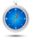 Safari icon