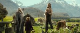 The-Hobbit-The-Desolation-Of-Smaug-Extended-Edition-Beorn