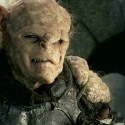 types of orcs in lord of the rings