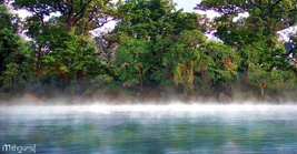 Brzegi rzeki Gwathló, przed przybyciem Númenorejczyków