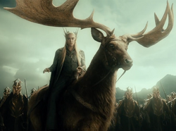 Thranduil in Elk