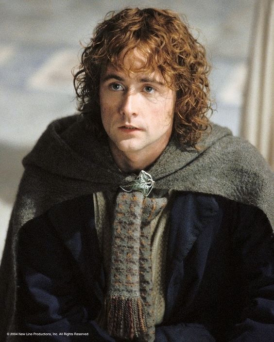 Pippin Lord Of The Rings Actor