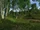 Green-Hill Country