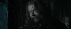 The captain of the guard arresting Thorin and the Dwarves