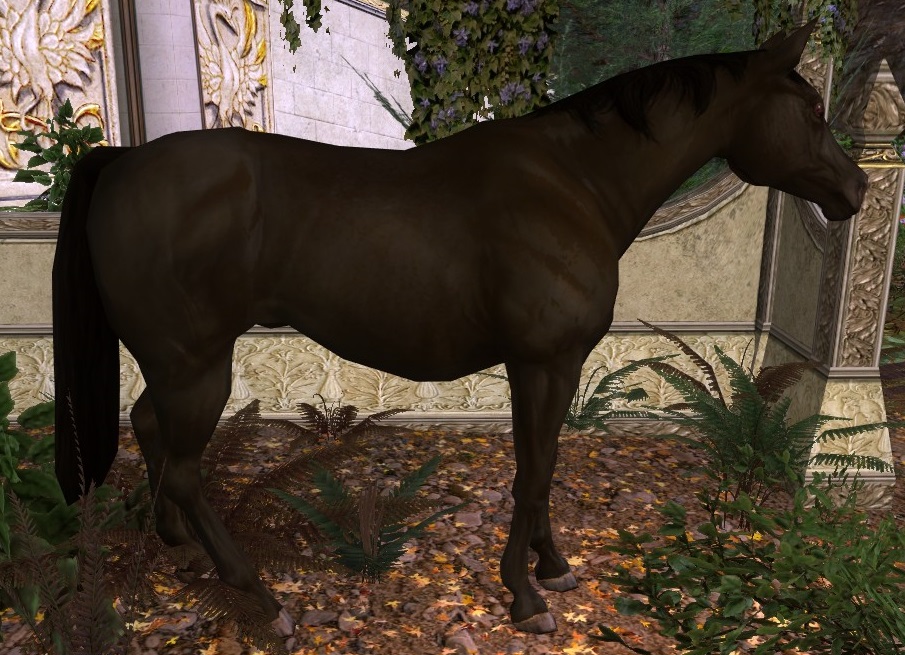 lord of the rings online horse