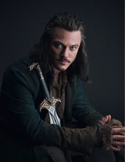 Luke Evans as Bard
