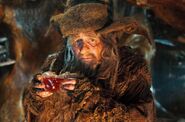 Radagast as portrayed by Sylvester McCoy