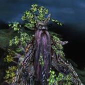 Treebearda