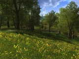 Tookland
