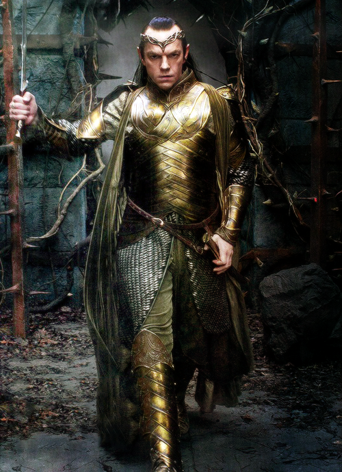 A man for being Lord Elrond