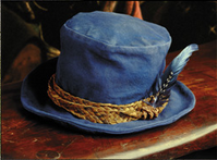 Tom Bombadil's hat