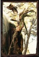 Radagast the Brown's staff during The Lord of the Rings