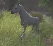 Felaróf in The Lord of the Rings Online