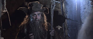 Radagast appears in the High Fells to aid Gandalf in investigating the Nazgûl tombs