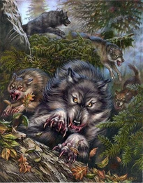 Wolfs.1