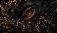 The-Hobbit-Smaug-Eye