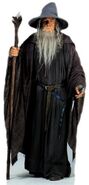 Gandalf the Grey in Peter Jackson's The Fellowship of the Ring