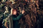 Pippin mistakenly grabs treebeards nose in The Two Towers film