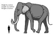 Size depiction Mûmakil