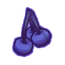 Blueberries