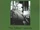 The Ring Goes Ever On: Proceedings of the Tolkien 2005 Conference
