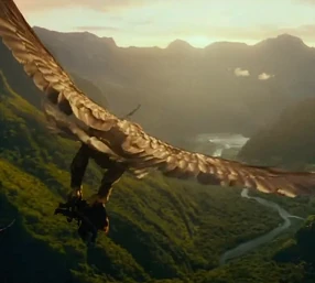 Adler Der Herr Der Ringe Wiki Fandom