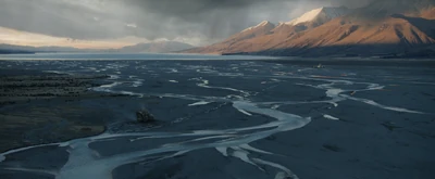 A wide view of The Braids