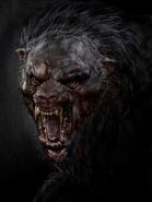 Beorn6