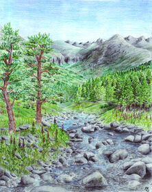 Matěj Čadil - Duilwen