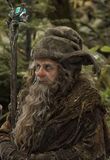 Radagast; Il Marrone.jpg