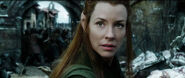 Tauriel w Dale