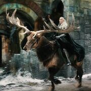 Thranduil on his elk in movie
