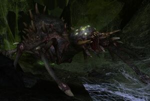 The Lord of the Rings Online - Shelob