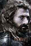 BOFA Fili poster.jpg