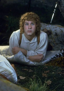 Meridoc Brandybuck