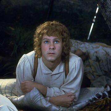 Meriadoc Brandybuck The One Wiki To Rule Them All Fandom Meriadoc Brandybuck The One Wiki To Rule Them All Fandom