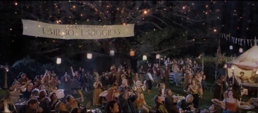 Przyjęcie urodzinowe.