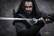 Thorin Hobbit