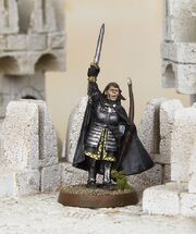 Beregond SBG model