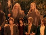 Fellowship of the Ring (group)