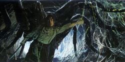 Shelob1