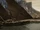 Harlond (Gondor)